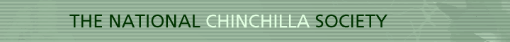 National Chinchilla Society Banner